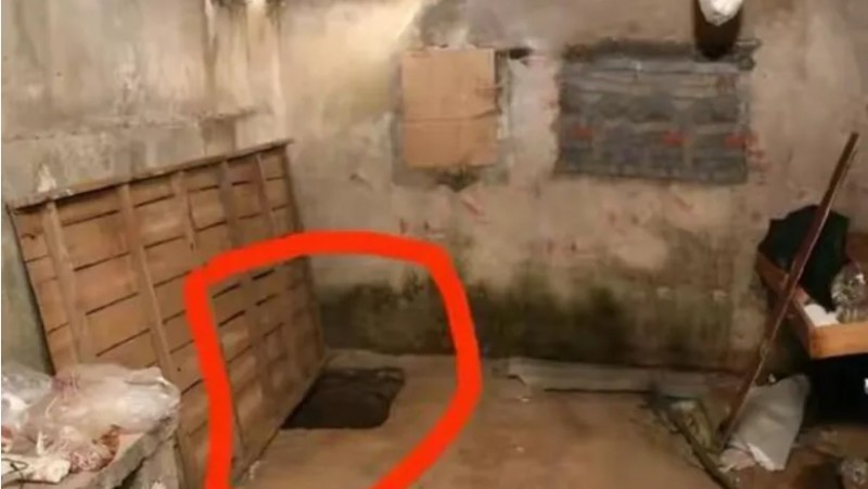 微信截图_20251103162501