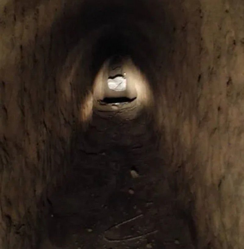 微信截图_20251103162754