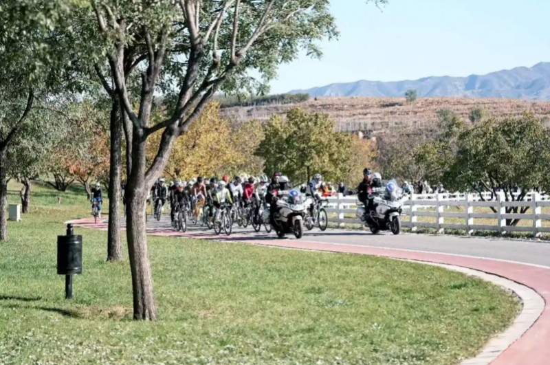 微信截图_20251103165448