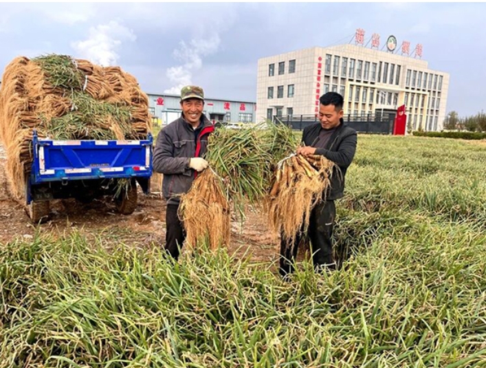 微信截图_20251103173243