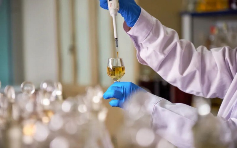 薪火相传筑人才之基：独门绝技背后的汾酒传承力量｜传承与创新