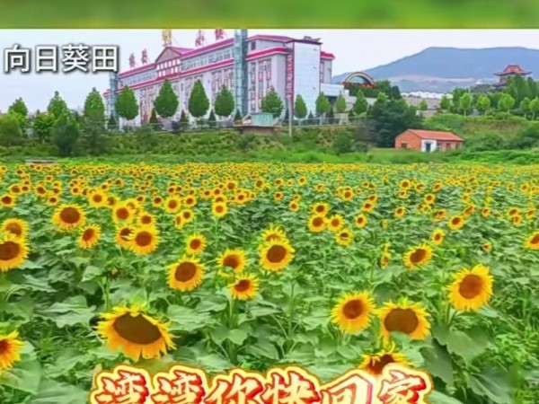 11月21日 唤醒您美好的一天 | 振兴小镇·晋商俱乐部常务理事长单位