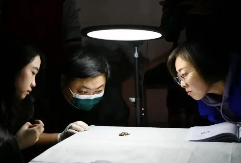 微信截图_20251124095507