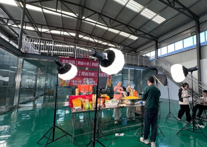 微信截图_20251203152950