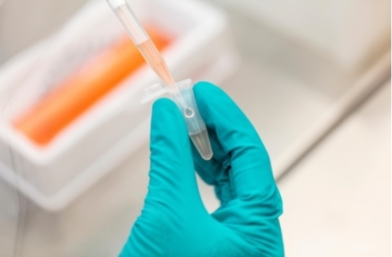 微信截图_20251204164905