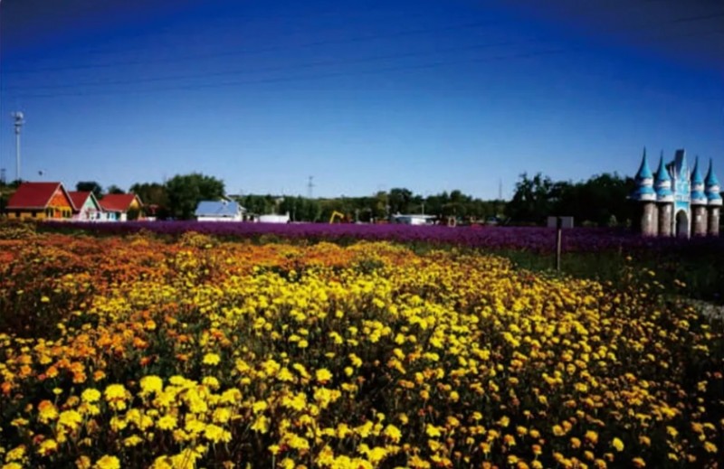 微信截图_20251208162054