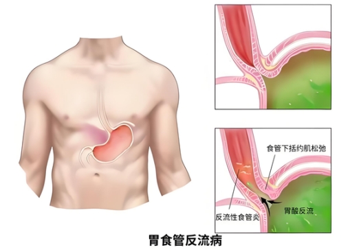 微信截图_20251226164202