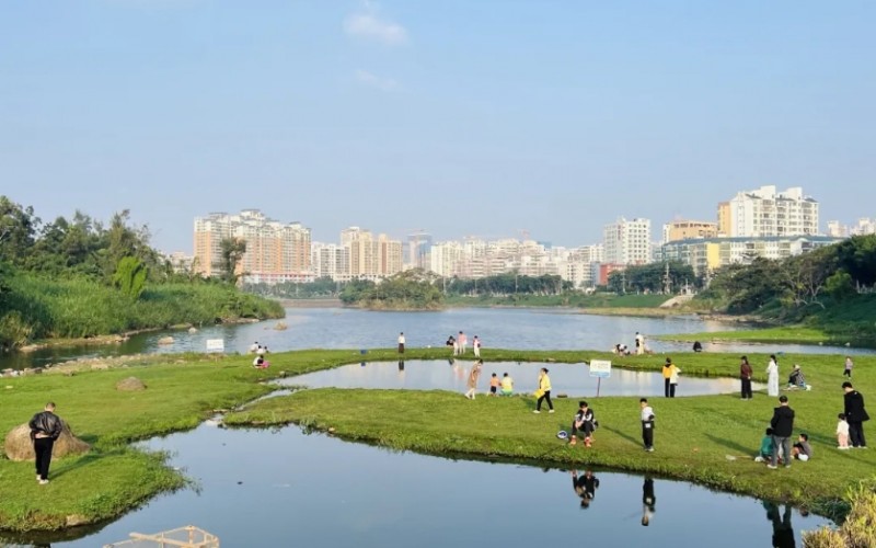 微信截图_20251230190029