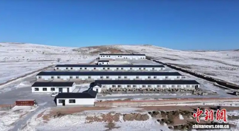 乌兰察布乡村振兴新图景：种业创新、特色挖掘、金融护航