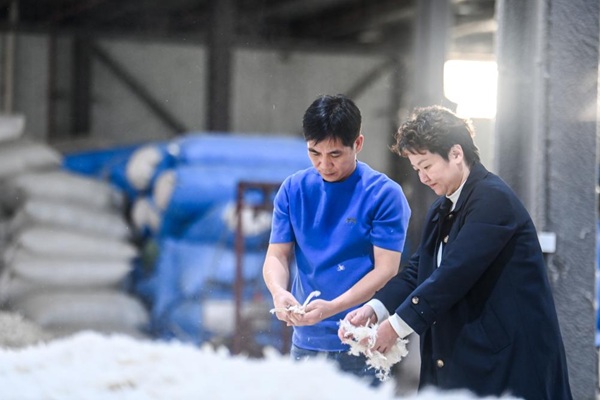 广西贵港市-从乡土作坊到全球暖流：一颗&ldquo;羽绒明珠&rdquo;的升级路