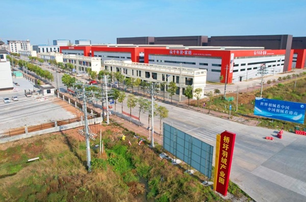 广西贵港市-从乡土作坊到全球暖流：一颗&ldquo;羽绒明珠&rdquo;的升级路