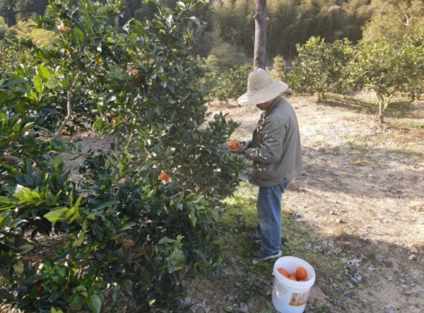 福州：敖江清流滋养&ldquo;绿富共赢&rdquo;新图景