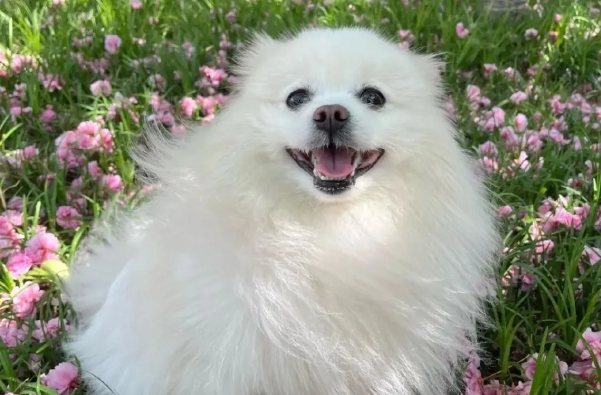 微信截图_20260116110454