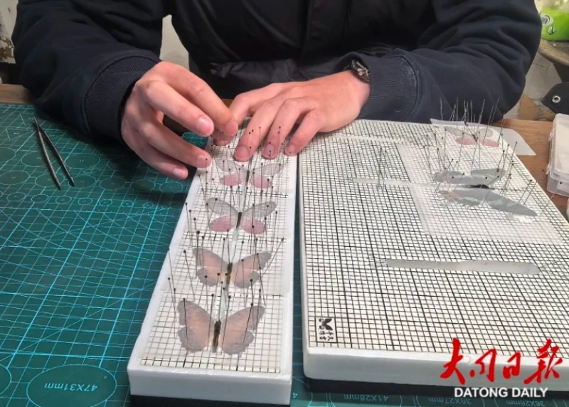 微信截图_20260119143500