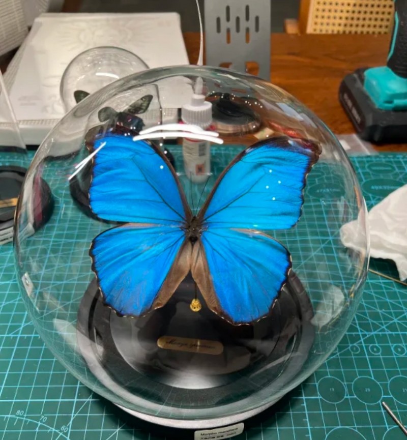 微信截图_20260119143530