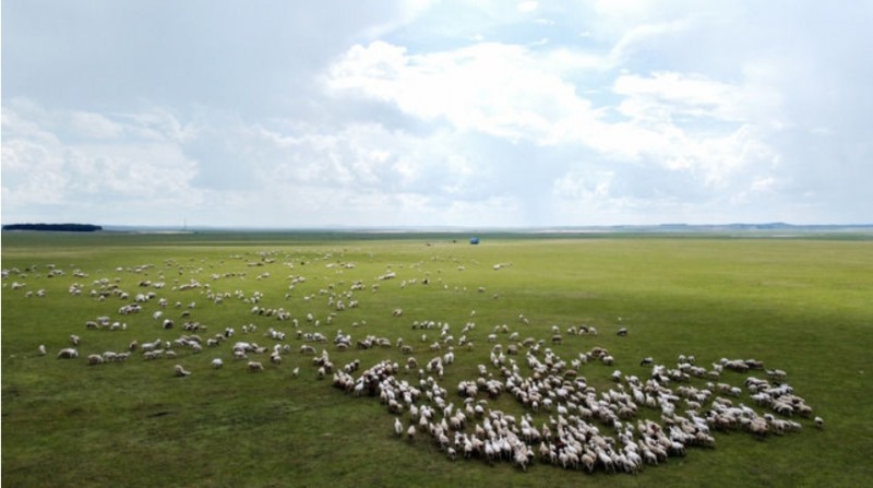 微信截图_20260122172830