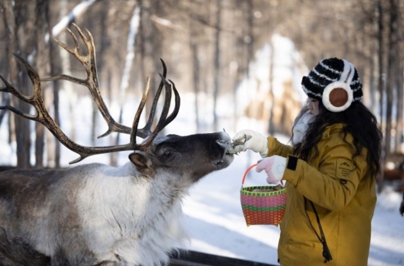 微信截图_20260122173117