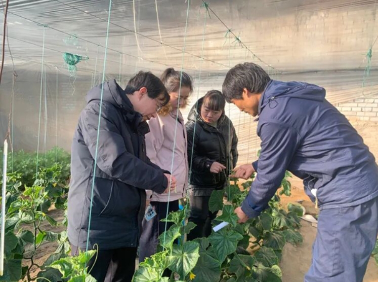 微信截图_20260122175626