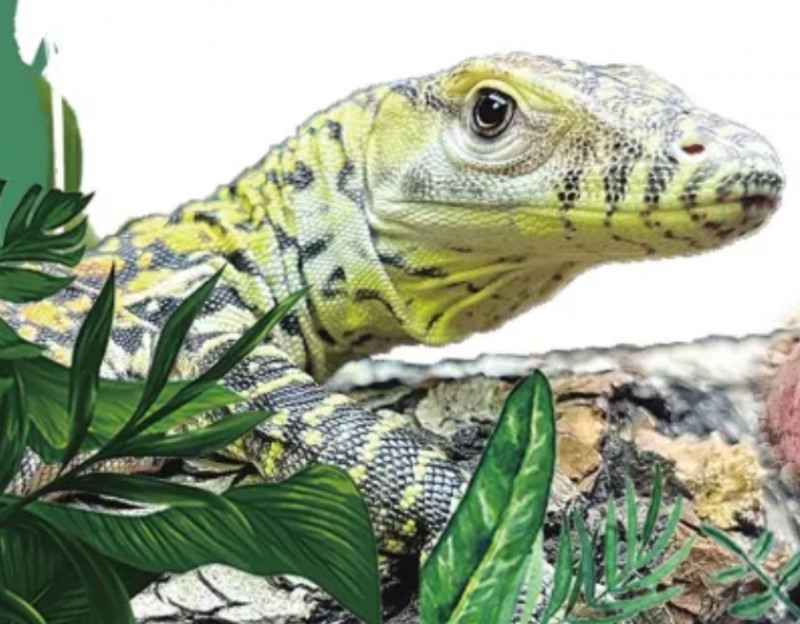 微信截图_20260127142358