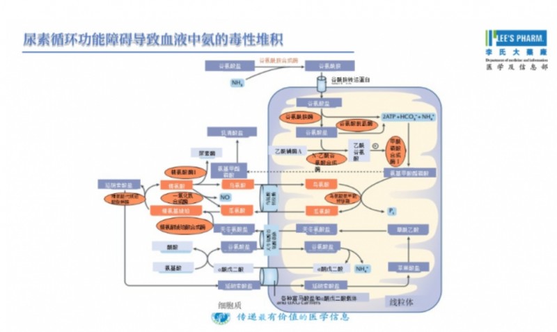 微信截图_20260128165511