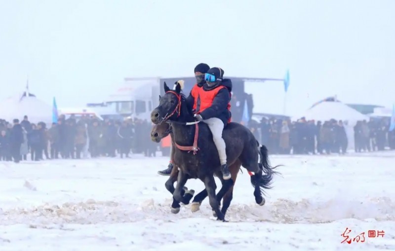 赛马竞技添冬日活力