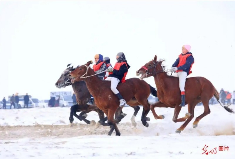 赛马竞技添冬日活力