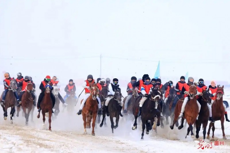赛马竞技添冬日活力