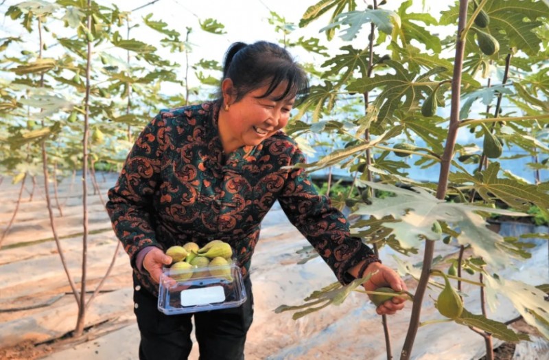 微信截图_20260130152954