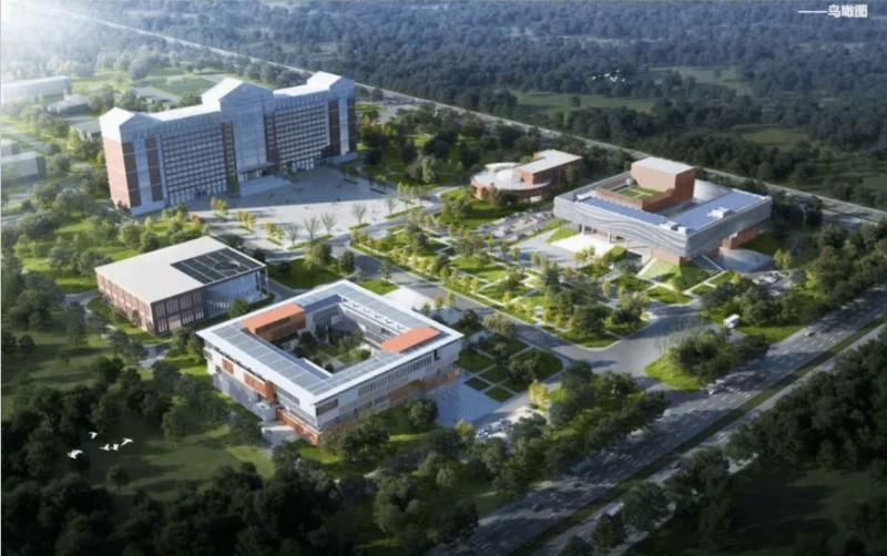 微信截图_20260211171304