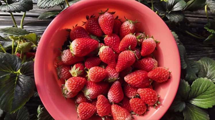 微信截图_20260228124832