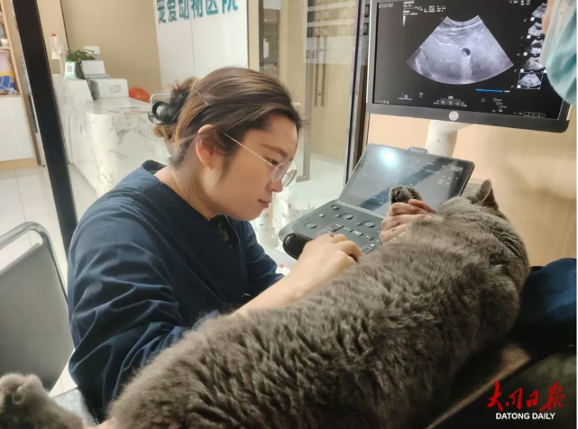 微信截图_20260308152146