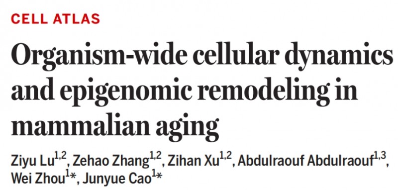 微信截图_20260309170242