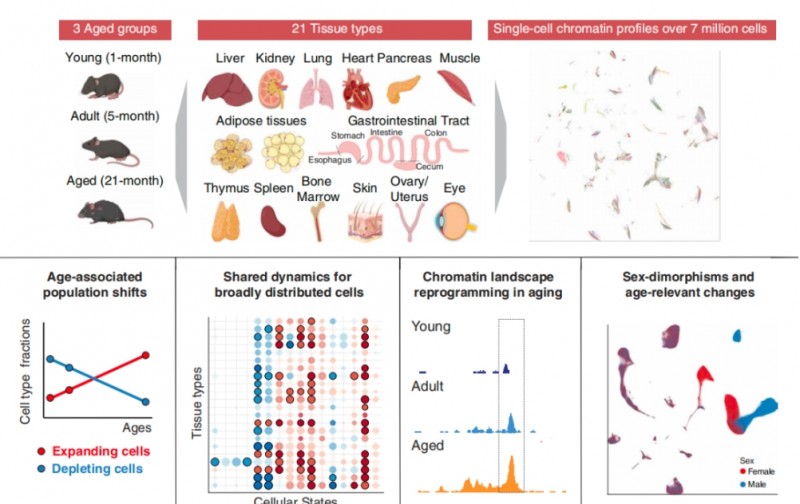 微信截图_20260309170312