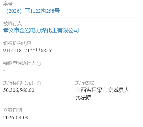 孝义市金岩电力煤化工有限公司被执行5030多万
