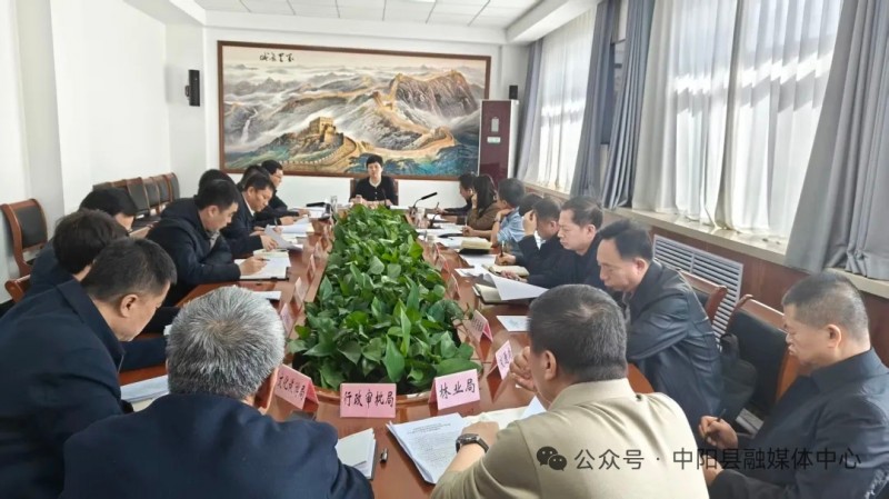 山西中阳县县长孙燕飞主持召开新能源项目推进会议