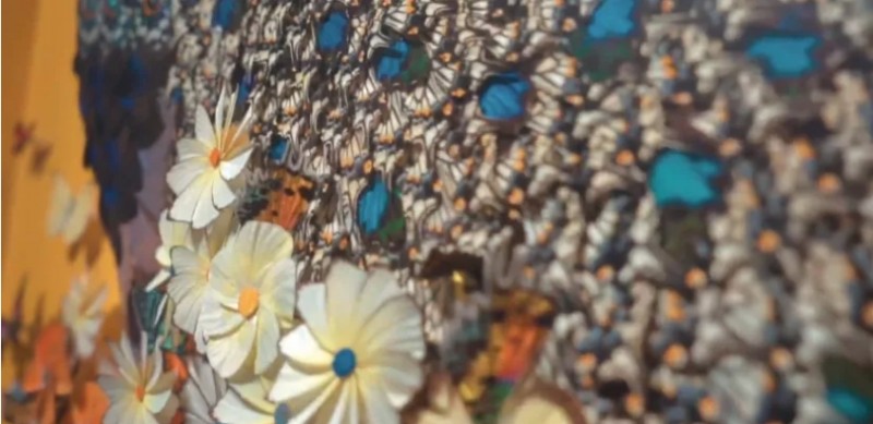 微信截图_20260320162452