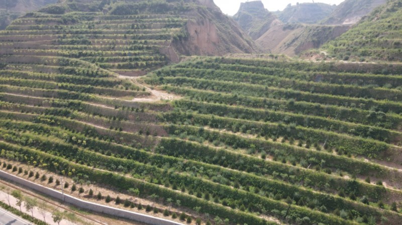 微信截图_20260323095830