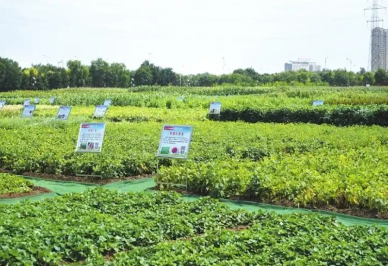 微信截图_20260323101823