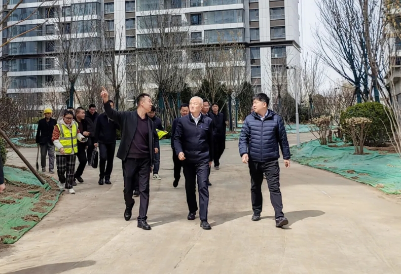 杜锐到山西四建集团和盈观海项目调研