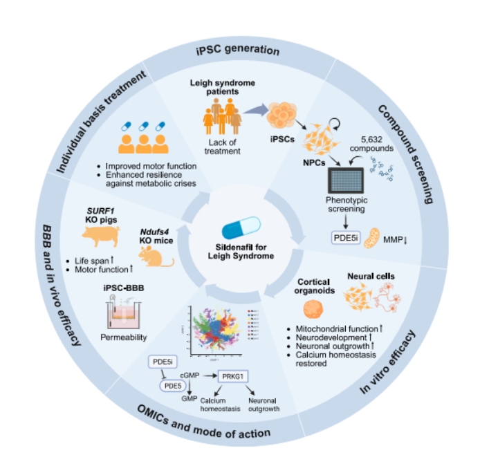 微信截图_20260323171937