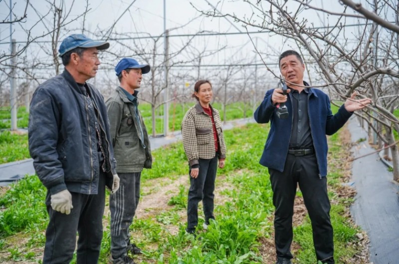 微信截图_20260323174216