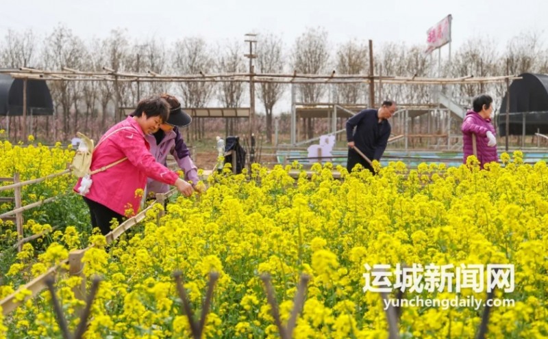 微信截图_20260324145722