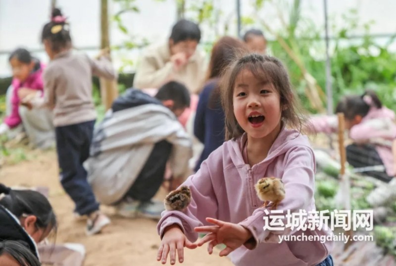 微信截图_20260324145834