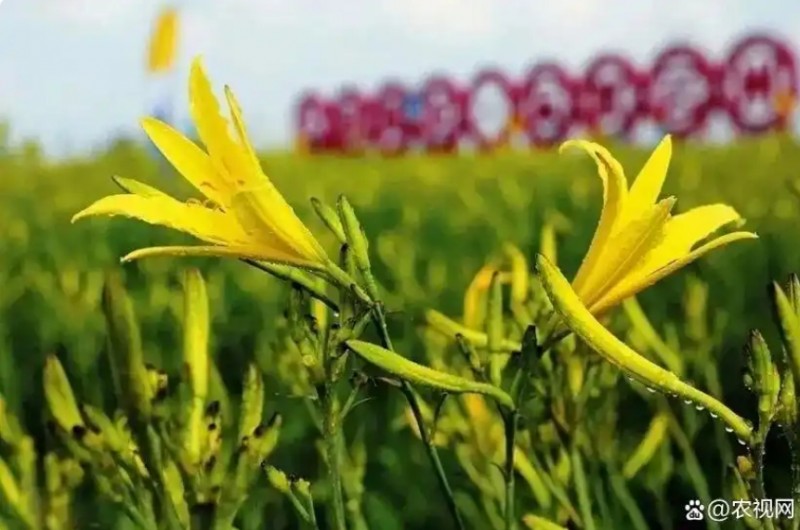 微信截图_20260324153145