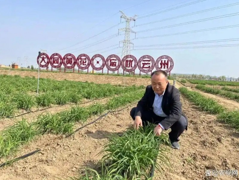 微信截图_20260324153332