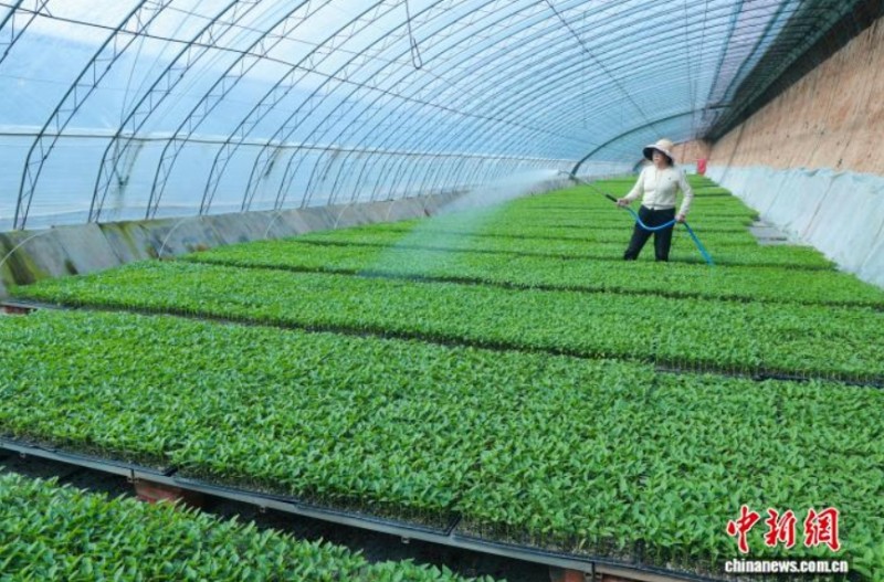 微信截图_20260324153602