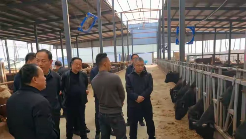 古县县委书记刘泳到河南安徽考察学习