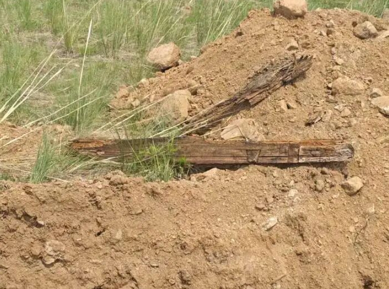 微信截图_20260326095202