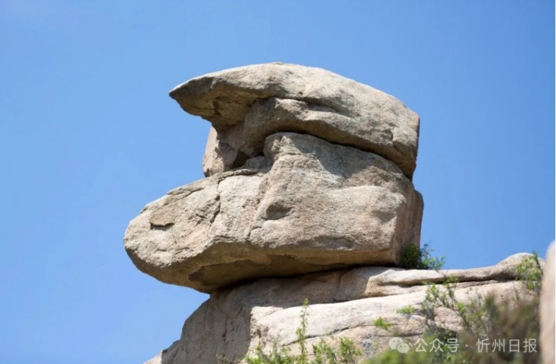 微信截图_20260326145525