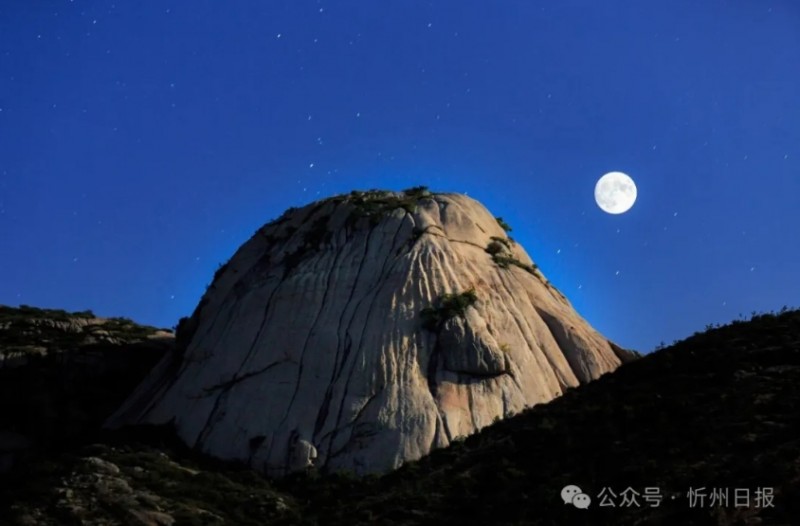 微信截图_20260326145548